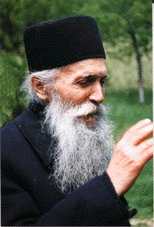 ���� ���� ����������